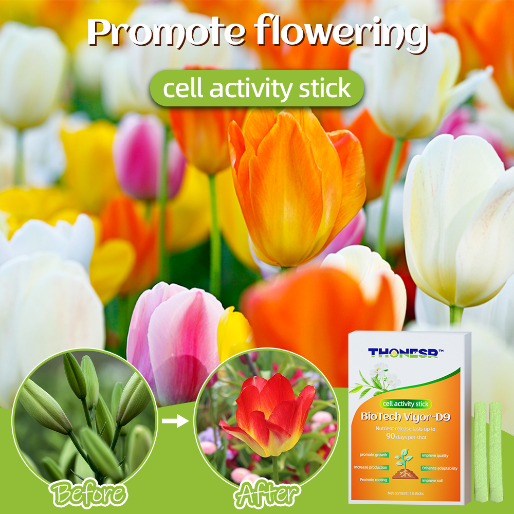 🌱 【Official Genuine】🌱 Thonesr™ cell activity stick One solution to all your plant problems