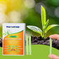 🌱 【Official Genuine】🌱 Thonesr™ cell activity stick One solution to all your plant problems